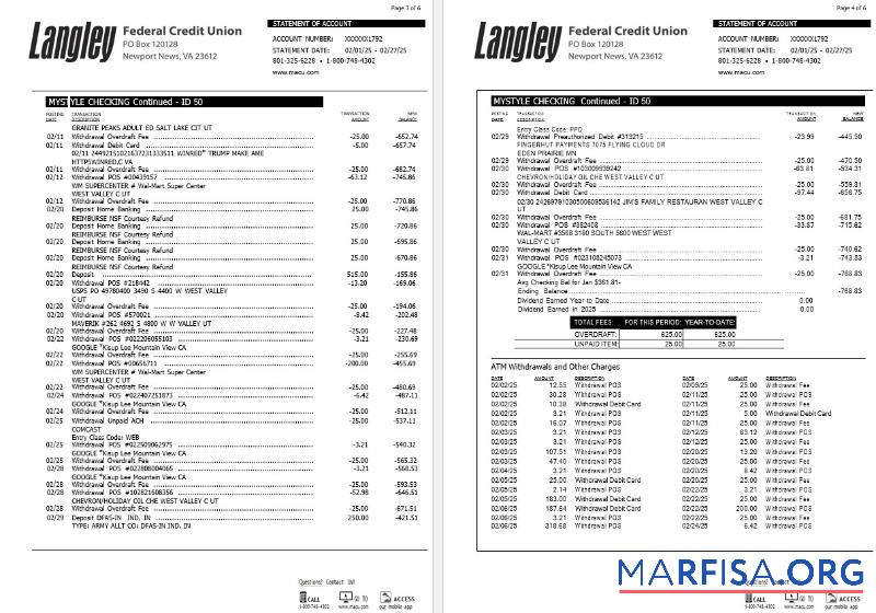 Realistic USA Langley Federal Credit Union bank statement word 6 pages 2 template